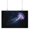 Swimming Jellyfish Poster -Image by Shutterstock