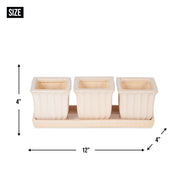 Ceramic Mini Planter Set - Blue Square - Anthro-Pop