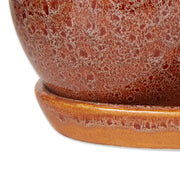 Ceramic Mini Planter Set - Brown Round - Anthro-Pop