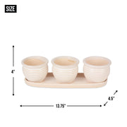 Ceramic Mini Planter Set - Brown Round - Anthro-Pop