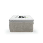 Eco Friendly Lunch Box - Anthro-Pop