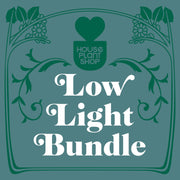 Low Light Bundle - Anthro-Pop