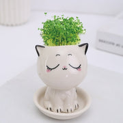 Mini Cat Shaped Cartoon Ceramic Flowerpot - Anthro-Pop