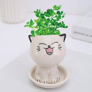 Mini Cat Shaped Cartoon Ceramic Flowerpot - Anthro-Pop