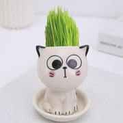 Mini Cat Shaped Cartoon Ceramic Flowerpot - Anthro-Pop