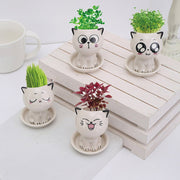 Mini Cat Shaped Cartoon Ceramic Flowerpot - Anthro-Pop