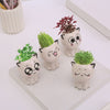 Mini Cat Shaped Cartoon Ceramic Flowerpot - Anthro-Pop