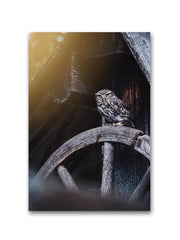 Owl Sitting On A Wooden Wheel Poster -Image by Shutterstock - Anthro-Pop