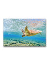 Sea Turtle Over Coral Reef Poster -Image by Shutterstock - Anthro-Pop